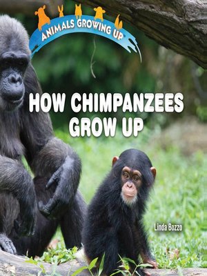 cover image of How Chimpanzees Grow Up